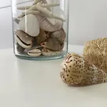Lc * プラヤ・オンダ